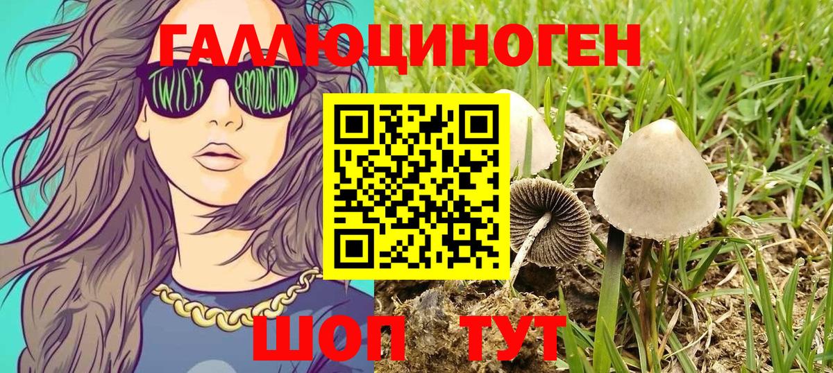 Галлюциногенные грибы Magic Shrooms  Галлюциногенные грибы мухоморы  Вход с VPN  Рыбинск 